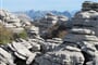 np-torcal-04